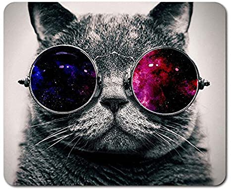 Cat with cool sunglasses!